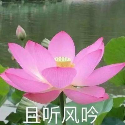 大洋征服者百度版下载